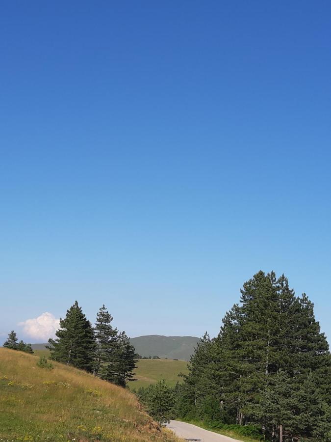 Apartman Gagi Zlatibor Exteriér fotografie